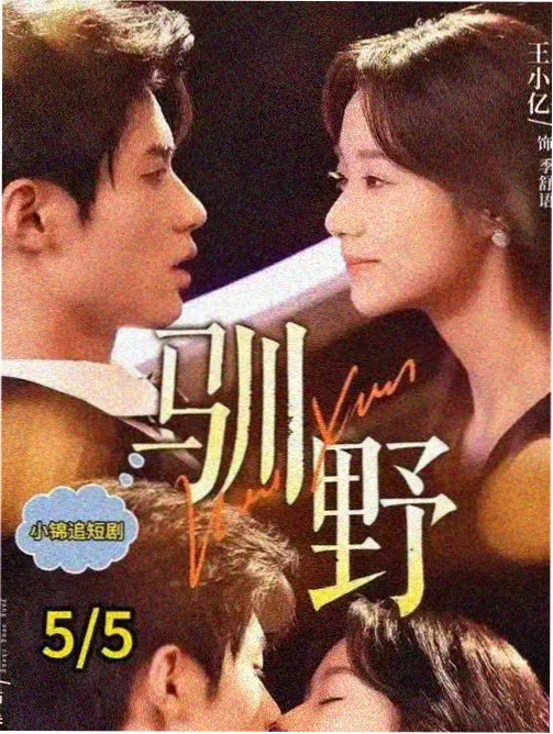 城南花开 在线观看电视剧